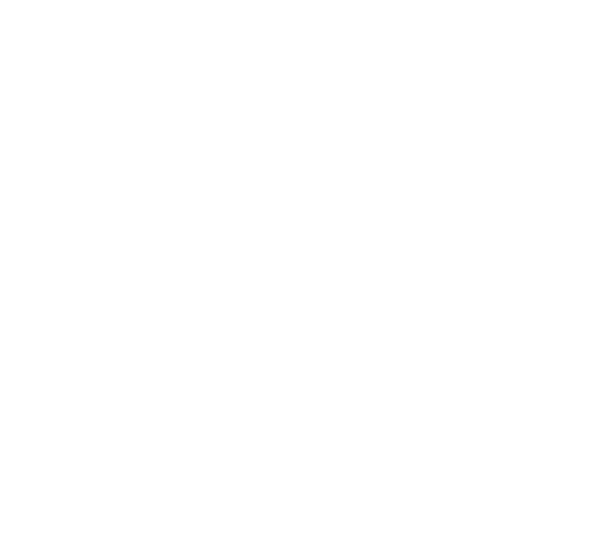 Dinner